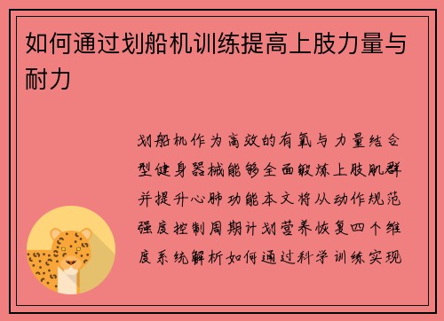 如何通过划船机训练提高上肢力量与耐力