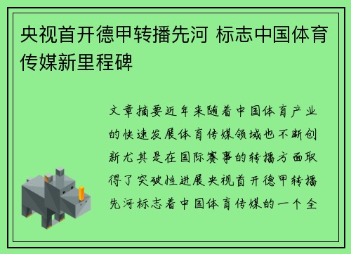 央视首开德甲转播先河 标志中国体育传媒新里程碑