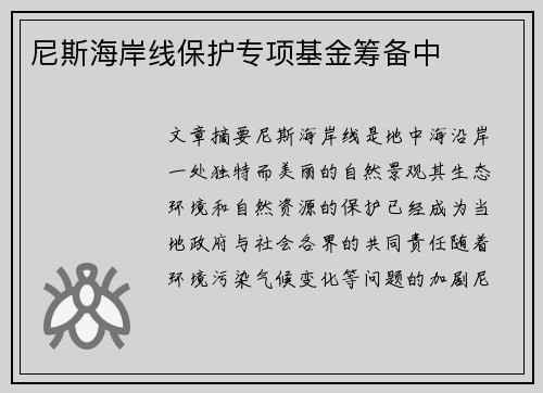 尼斯海岸线保护专项基金筹备中